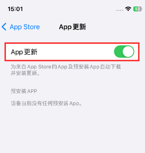 四川苹果15维修中心如何让iPhone15APP自动更新